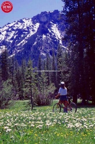 Mountain Biker Wildflowers Mount McGown