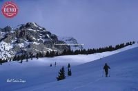 Boulder Mountain Skier 