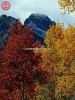 Aspens Sawtooths Thompson Peak Fishhook 