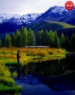 Fly Fisherman Beaver Pond Boulder Mountains