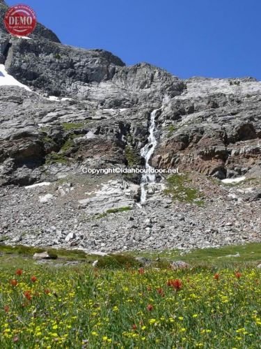 Wildflowers Waterfall Pioneer Mountains