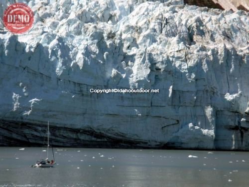 Sailboat Tarr Inlet Alaska 