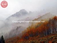 Fishhook Fall Fog Sawtooths