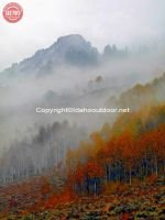 Fall Fishhook Fog Sawtooths