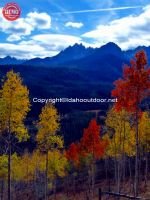 Aspens Sawtooths Fall Colors Fishhook Ridge