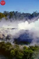 Rotarua Geyser New Zealand 