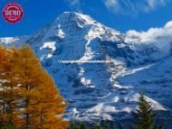 Jungfrau Colors of Fall