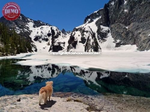 Sophie Goat Lake Sawtooths