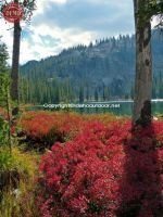 Kelly Lake Sawtooths Fall Colors