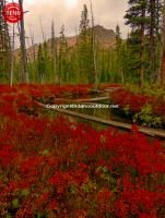 Sawtooths Fall Colors Decker Lake