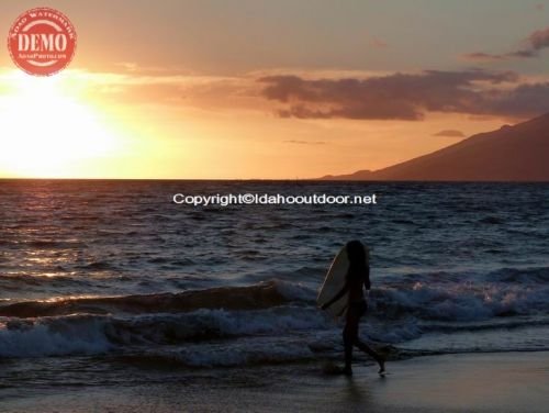 Sunset Surfer Maui Hawaii