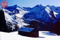 Pioneer Cabin Winter