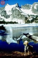 Deo Alice Lake Sawtooths