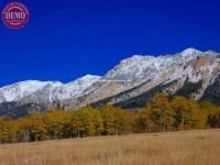 Boulder Mountain Wilderness Fall Color