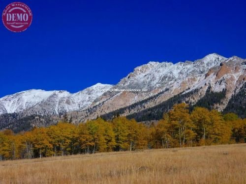 Boulder Mountain Wilderness Fall Color