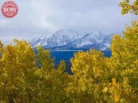 Aspen Tree Fall Colors Sawtooth