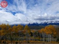 Fall Colors Aspen Trees Sawtooths
