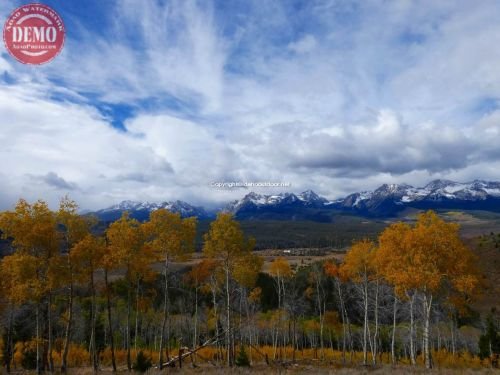 Fall Colors Aspen Trees Sawtooths