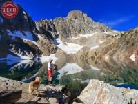 Thompson Cirque Lake Fly Fisherman Dog