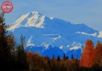 Fall Colors Denali Alaska