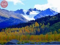 Fall Colors Exit Glacier Alaska